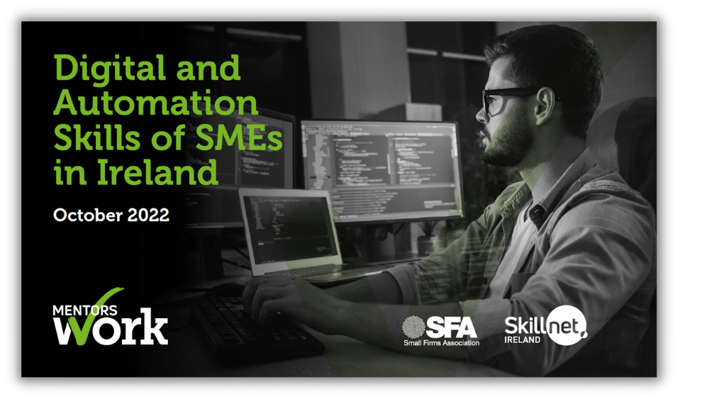 Digital and Automation Skills of Small and Medium Enterprise in Ireland – October 2022